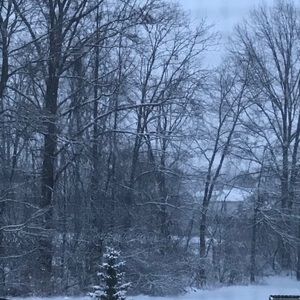 Meet your Posher, Christy